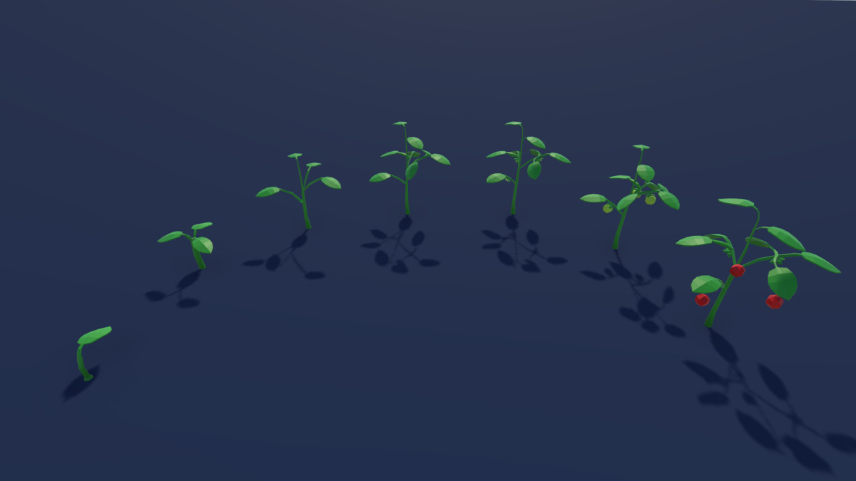 3D Lowpoly Grows Plants