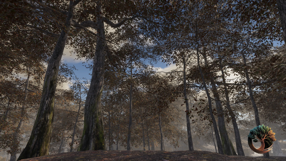 Broadleaf Forest