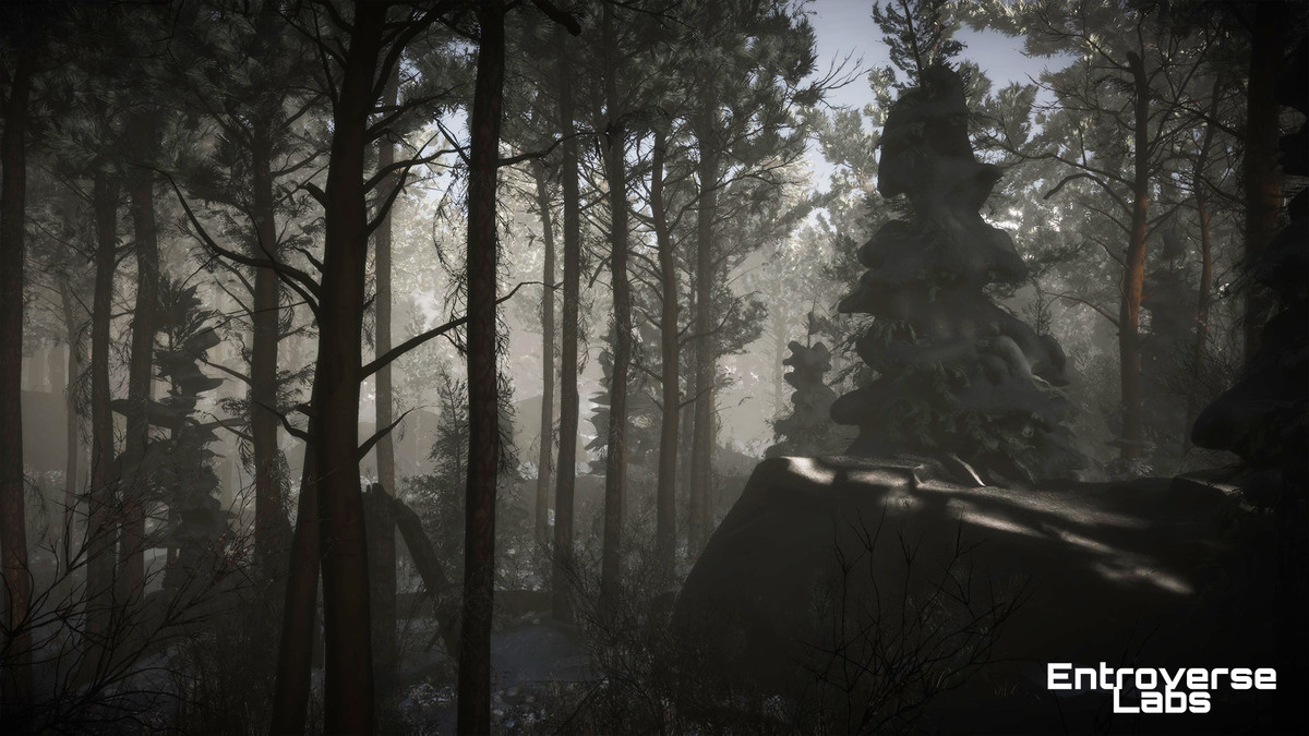 Taiga Biome Environment / Boreal Tundra Forest