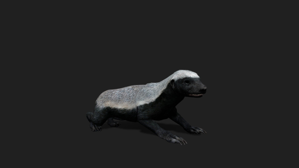 WILDPOLY - Animated Animals – Realistic Pack