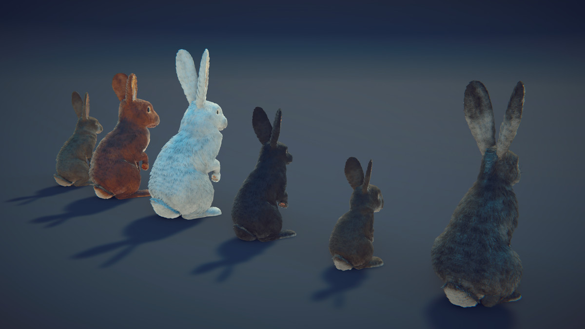 Realistic Rabbits