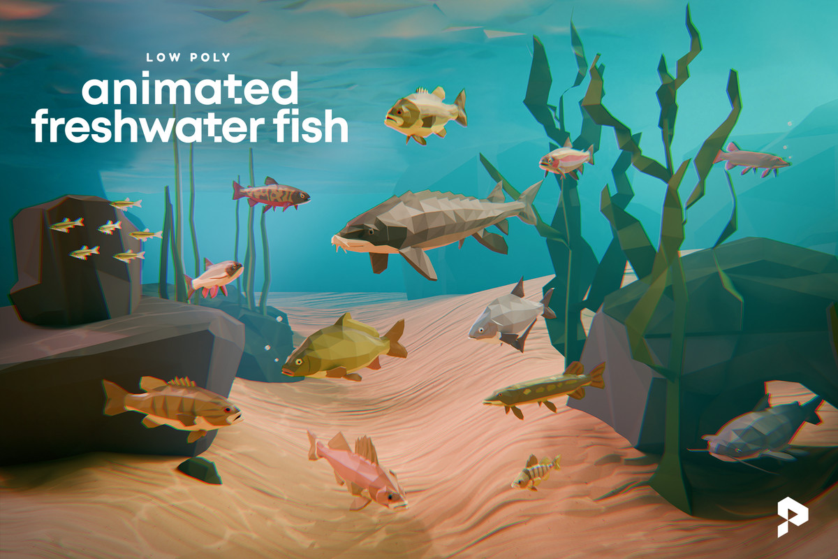 Low Poly Animated Freshwater Fish