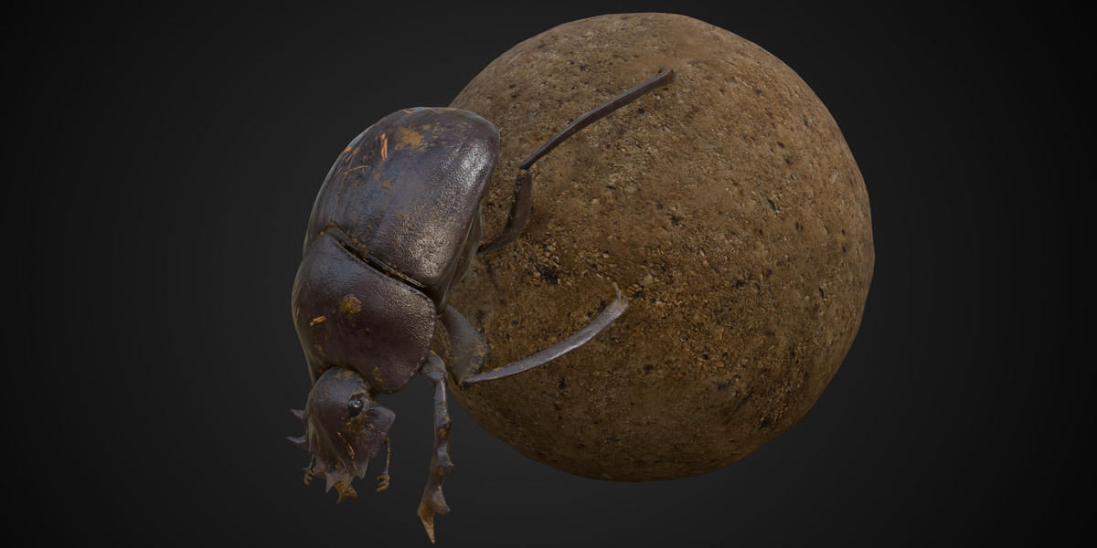 Animated insect bundle