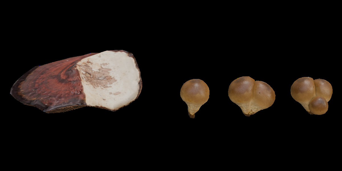 Mushrooms Bundle (62 Prefab + LOD)