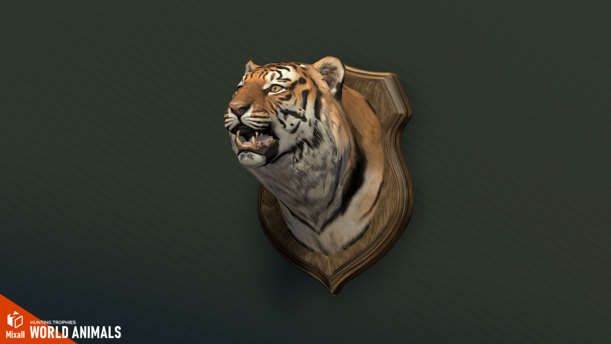 World Animals – Hunting Trophies