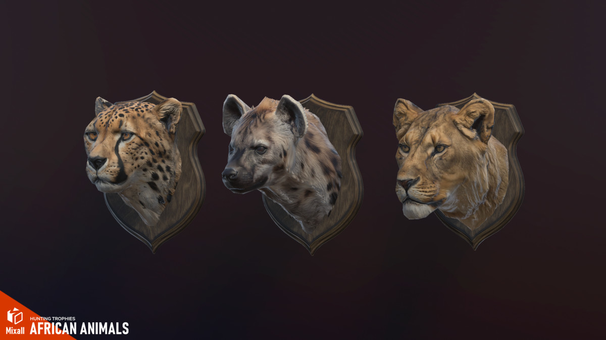 African animals – Hunting trophies