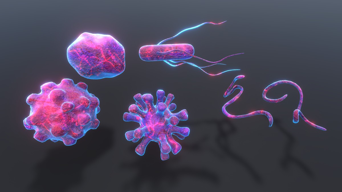 Freezable Virus Pack (Animated 3D)