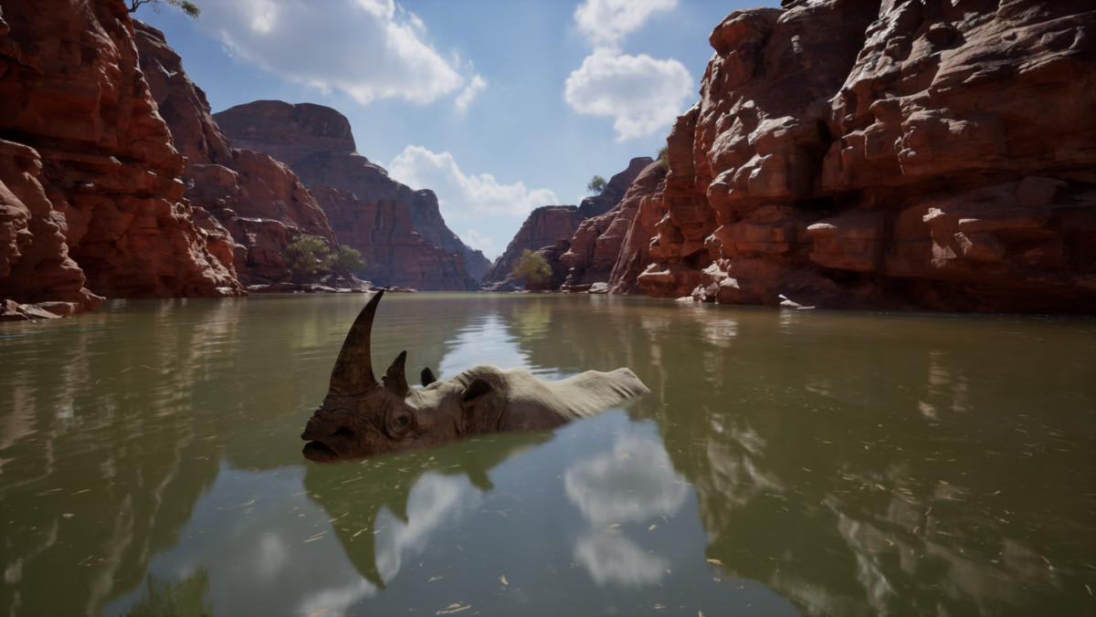 Realistic African Rhinoceros