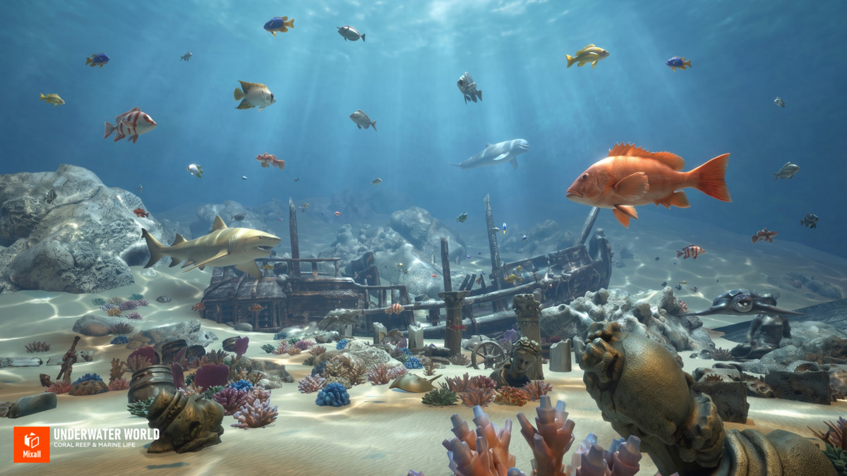 Underwater world - Coral Reef & Marine Life