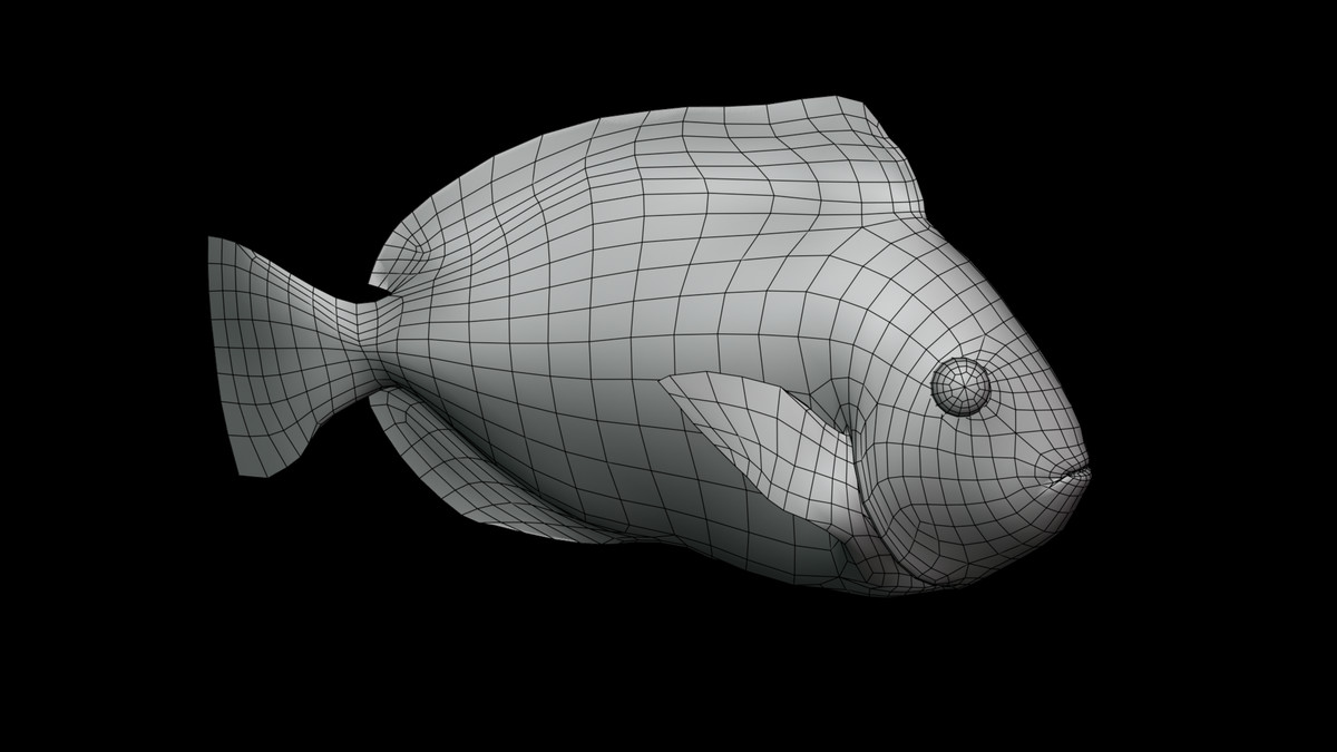 Regal tang