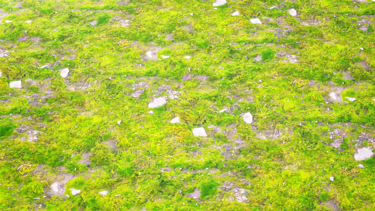 Stylized Materials - Moss 1
