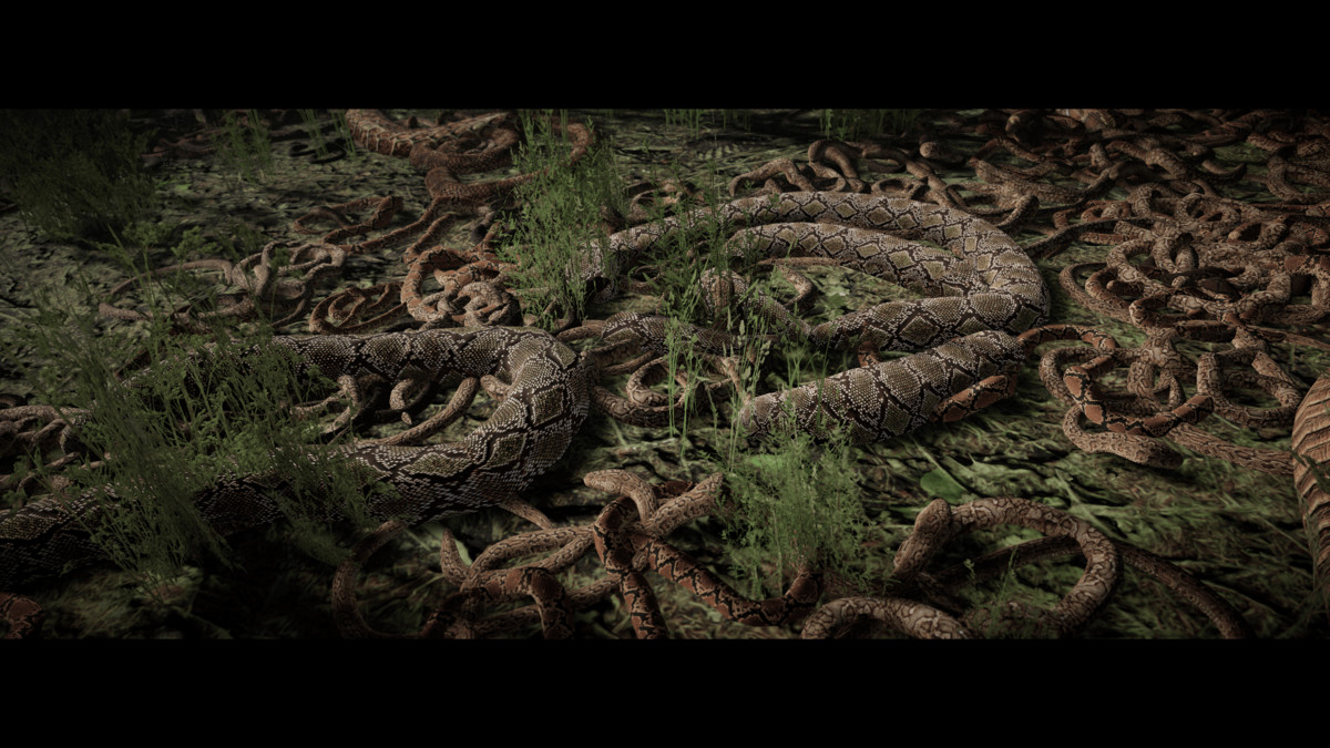 Slither Aplenty