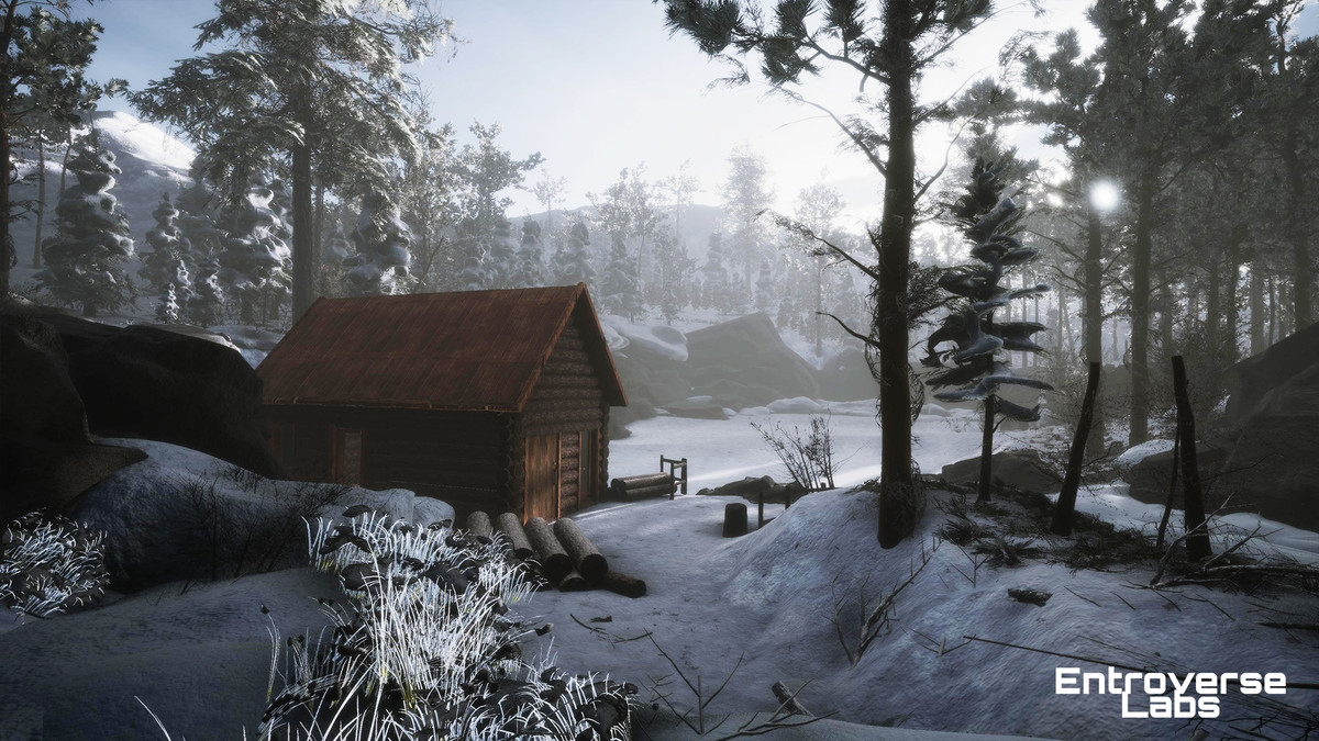 Taiga Biome Environment / Boreal Tundra Forest