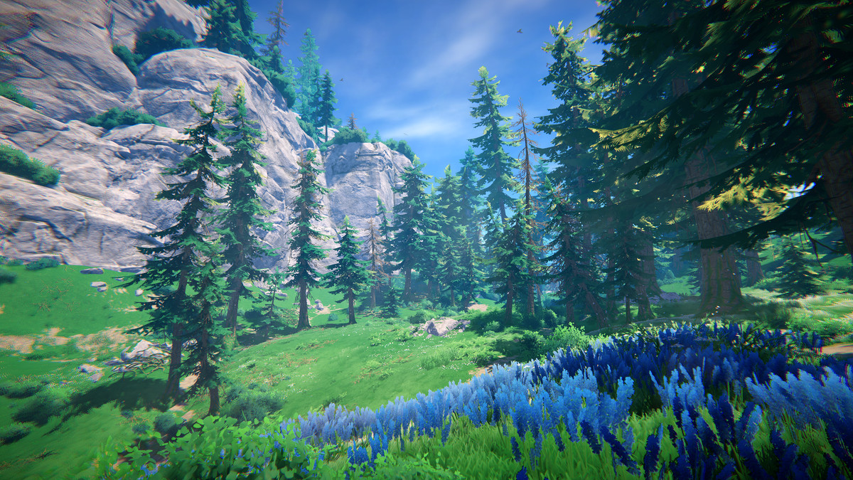 Adventure Nature Vol.7 Spruce Forest