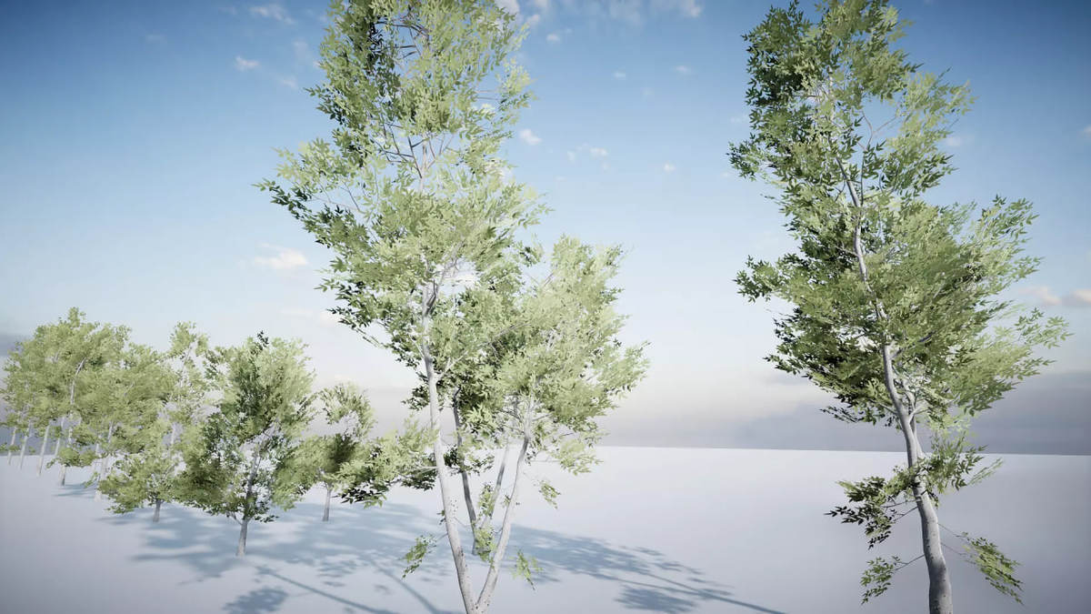 All Tree Bundle (All in One)