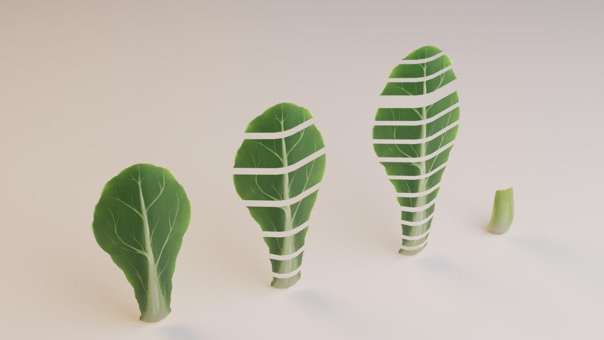 Stylized Asian Vegetable 3D Model Pack – Modular Low Poly Set