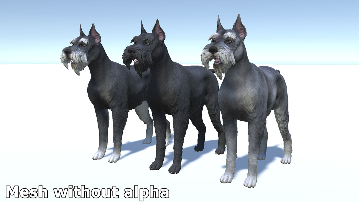 Dog - Schnauzer