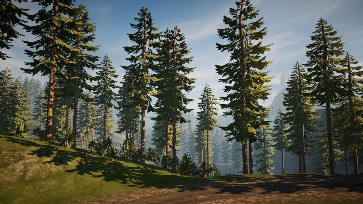Pine Tree Bundle (Mobile)