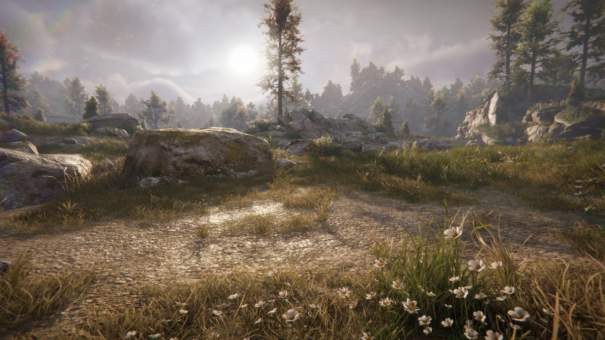 Juniper Pack - Toby Foliage Engine Assets