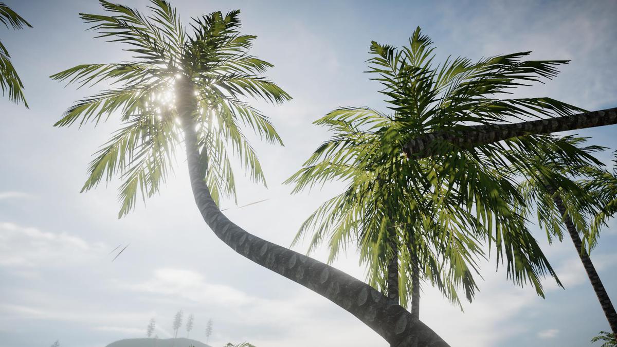 Palm Tree Bundle (Mobile)