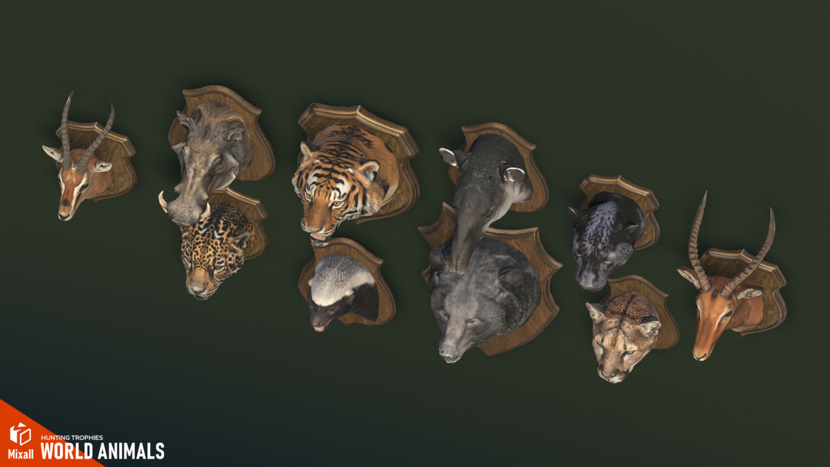 World Animals – Hunting Trophies