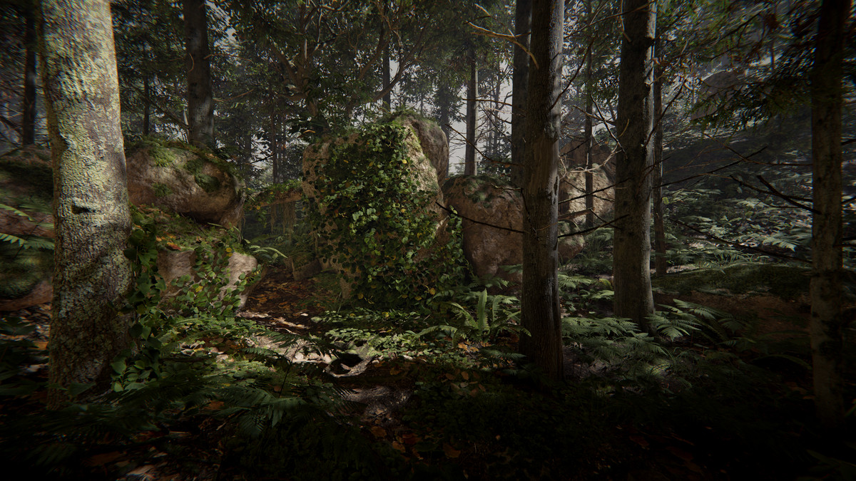 SeedMesh Forest Bundle