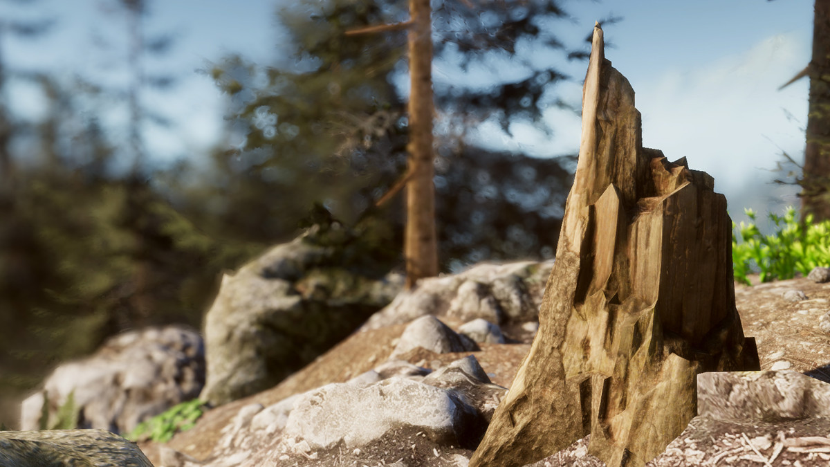 Mountain Forest Stumps