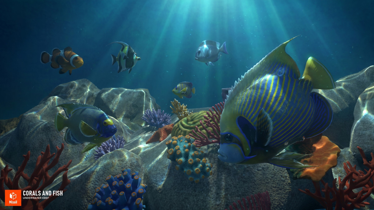 Corals and fish - underwater reef