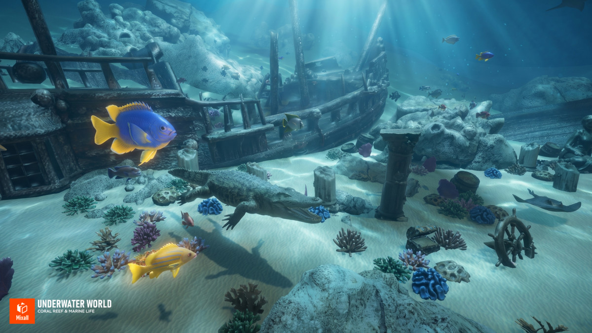 Underwater world - Coral Reef & Marine Life