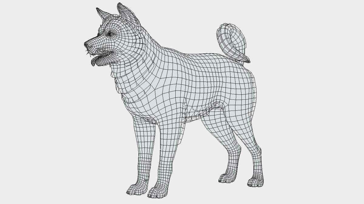 Dog - Akita Inu