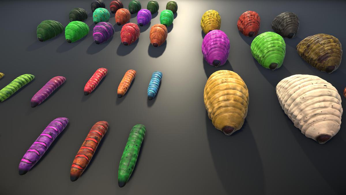 Dissolvable Worms (3 in 1 PACK)