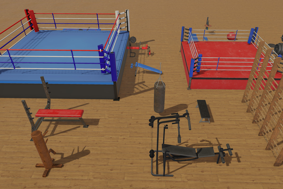 Boxing and Gym Equipment