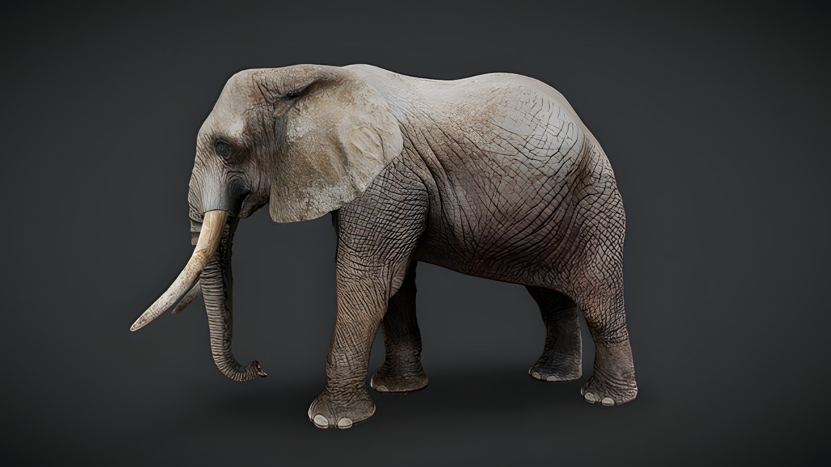 WILDPOLY - Animated Animals – Realistic Pack