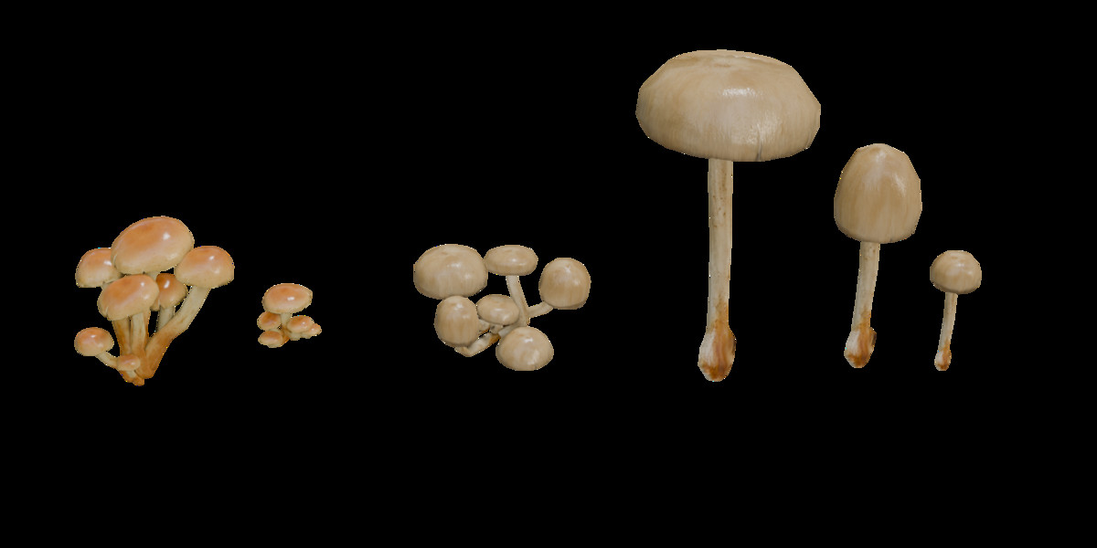 Mushrooms Bundle (62 Prefab + LOD)