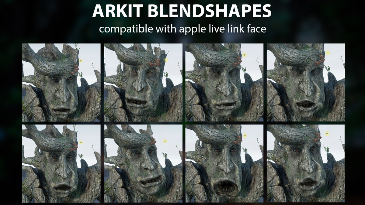 Pack of tree ents