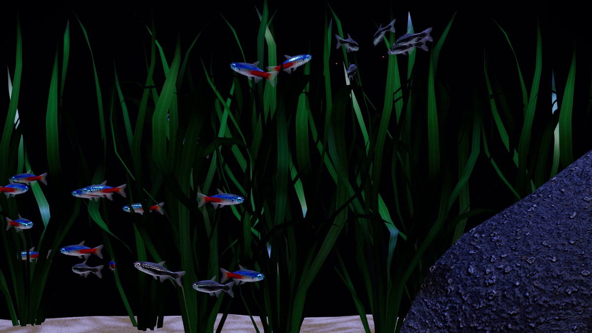 Fish School AI - Tropical Aquarium Set