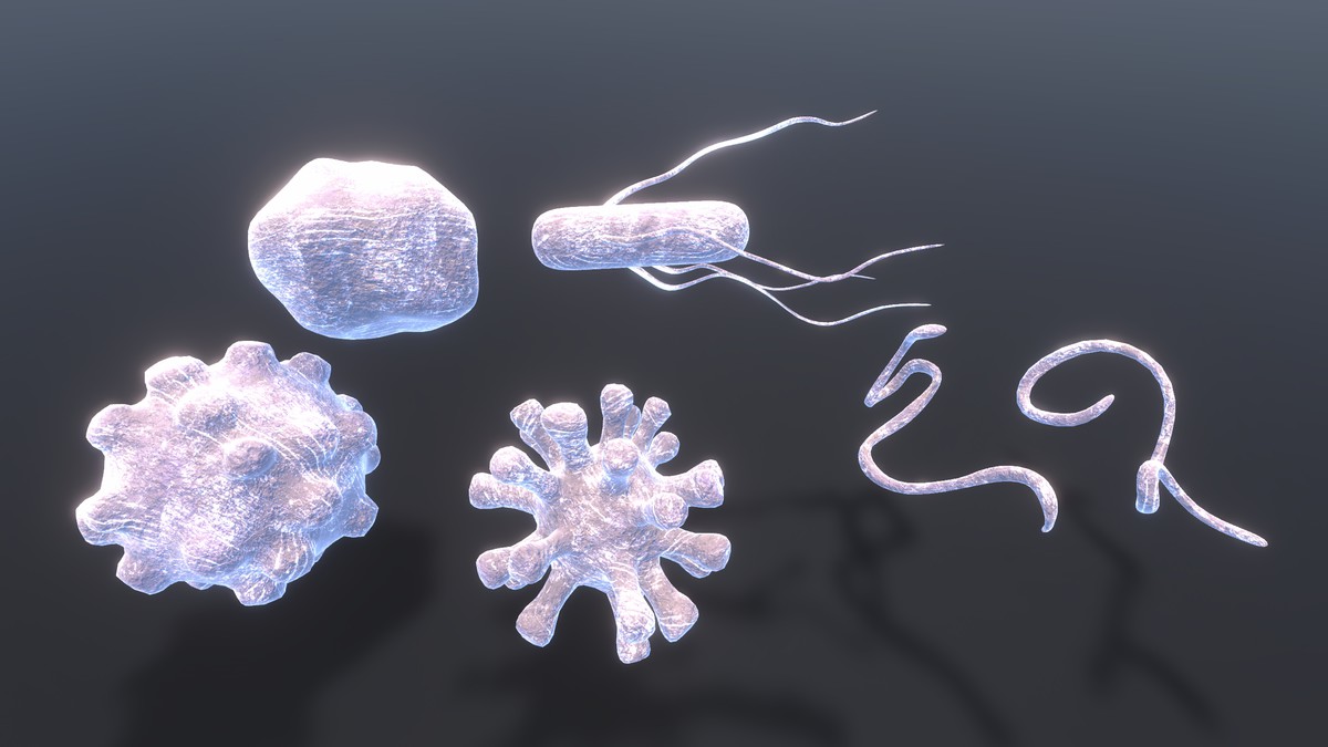 Freezable Virus Pack (Animated 3D)