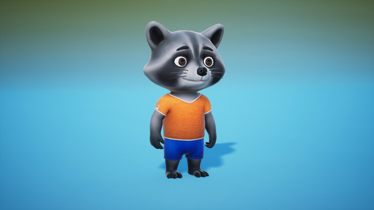 Little Raccoon