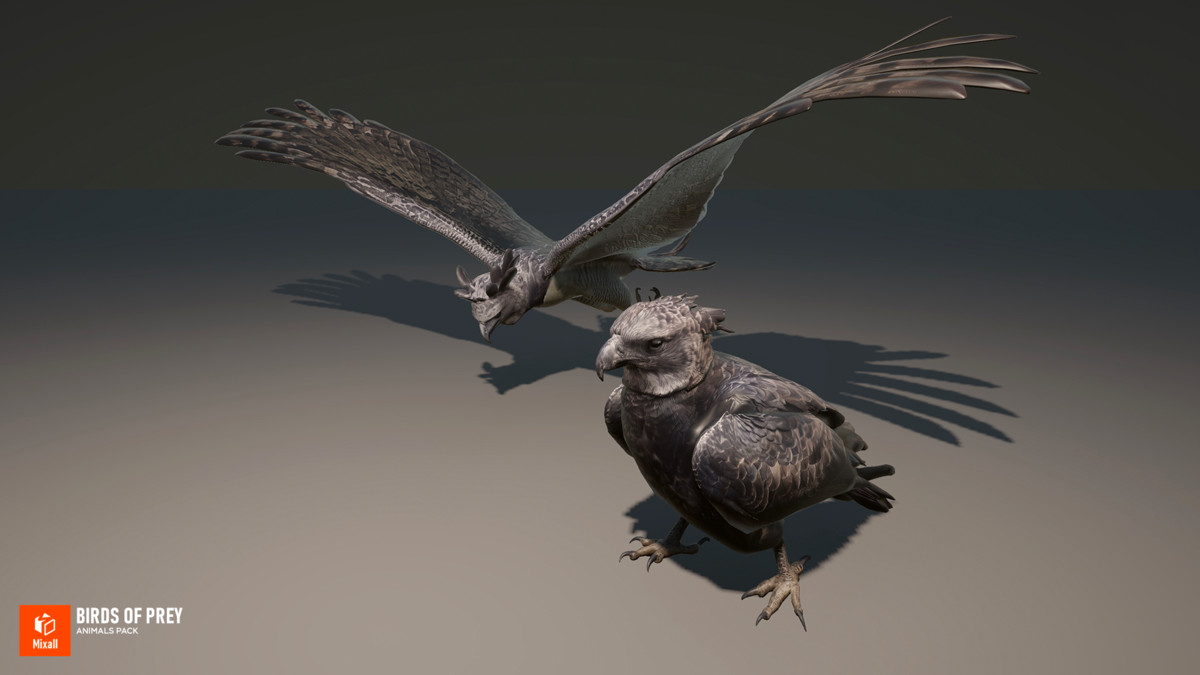 60 Birds - Full Animals Pack