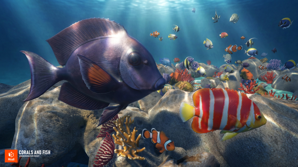 Corals and fish - underwater reef