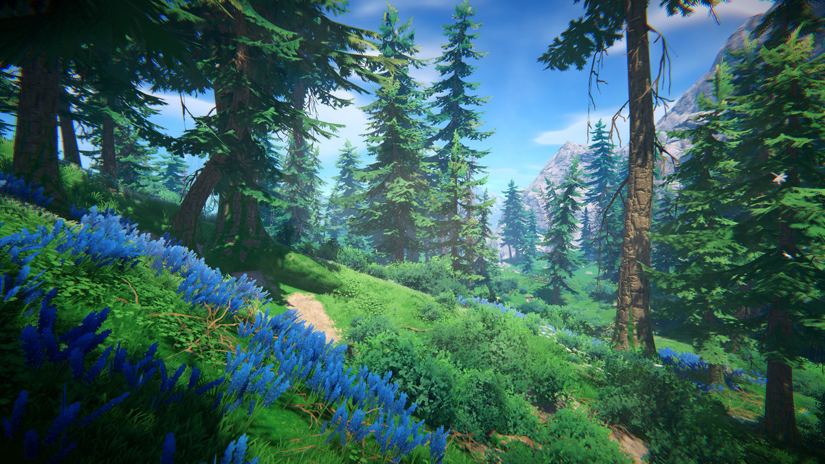 Adventure Nature Vol.7 Spruce Forest