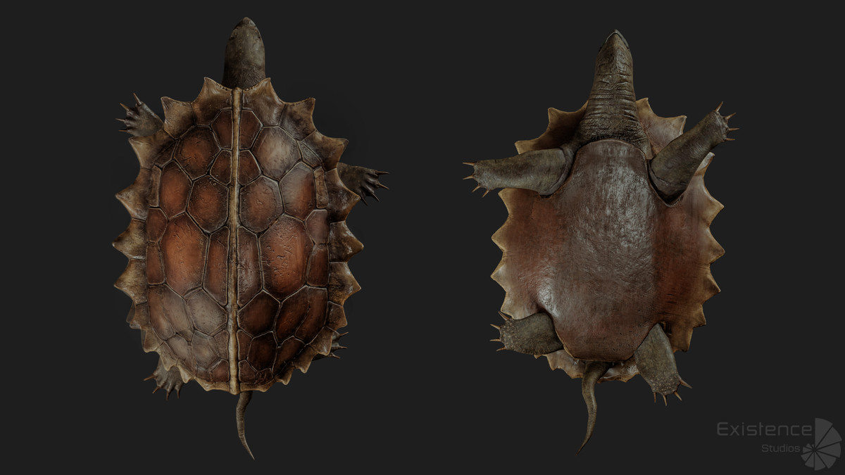Alligator Turtle Predator - Animated Realistic Underwater Reptile
