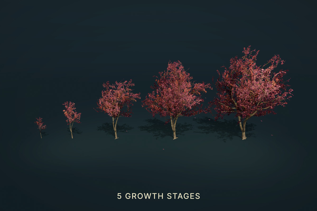 Wild Orchard: Fruit Trees