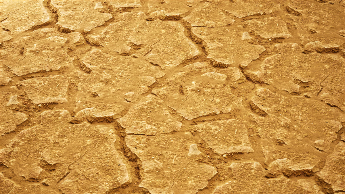 Realistic Materials - Soil 1