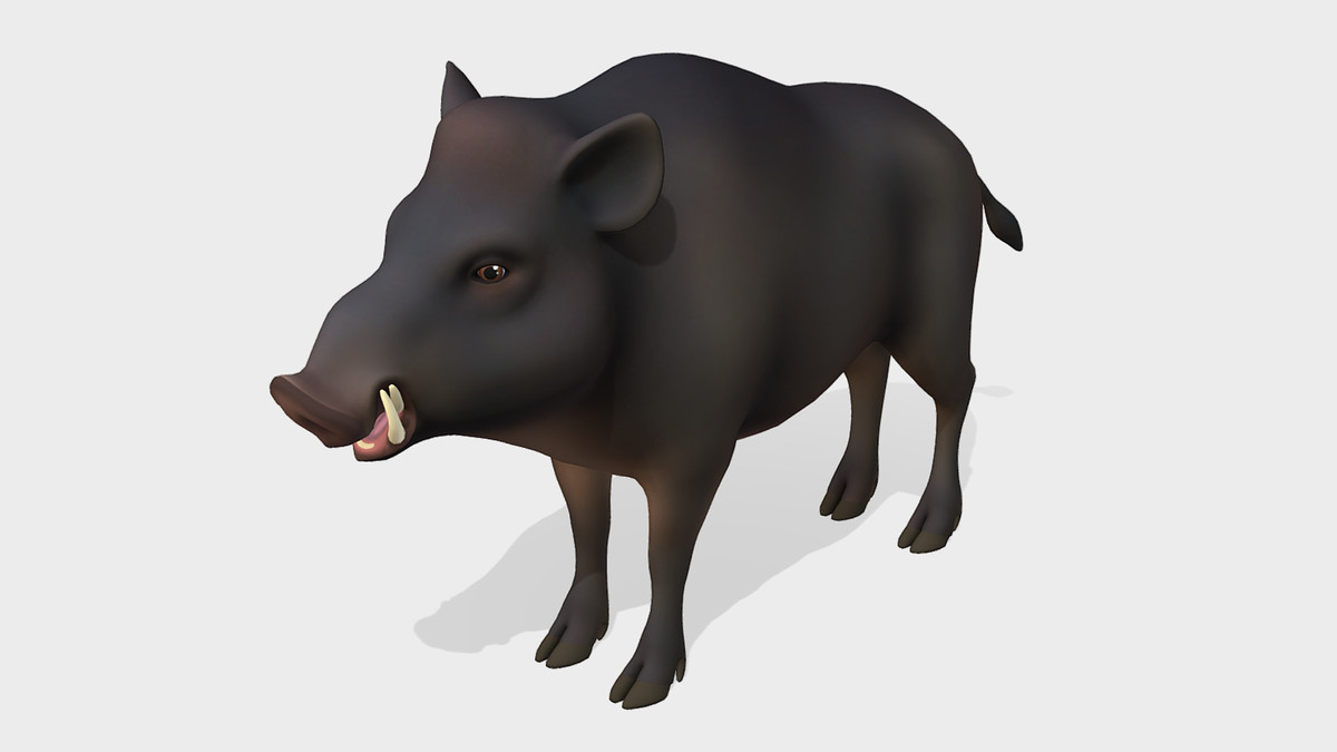 Cartoon - Boar