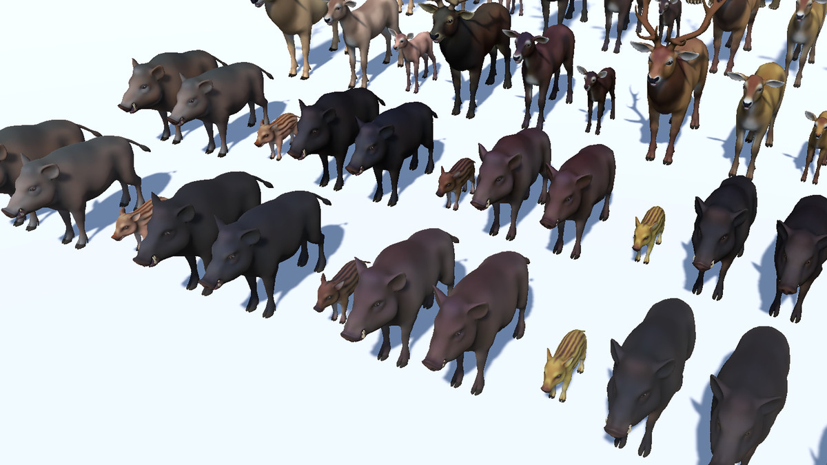 Cartoon Wild Animals