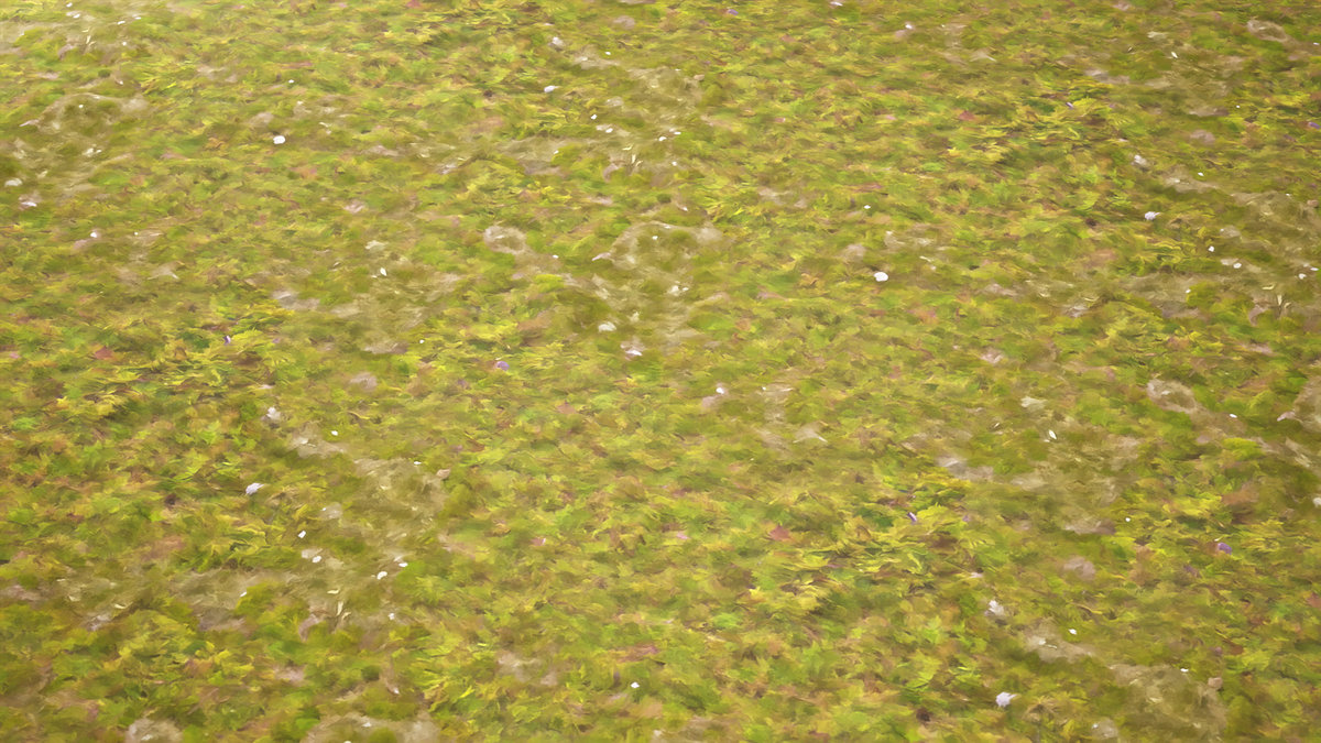 Stylized Materials - Moss 1
