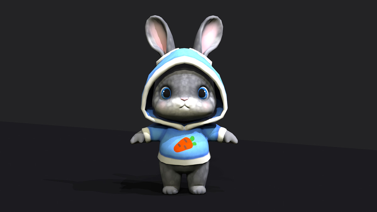 Bunny in hoodie