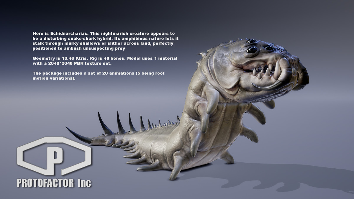 MONSTER: ECHIDNARCHARIAS