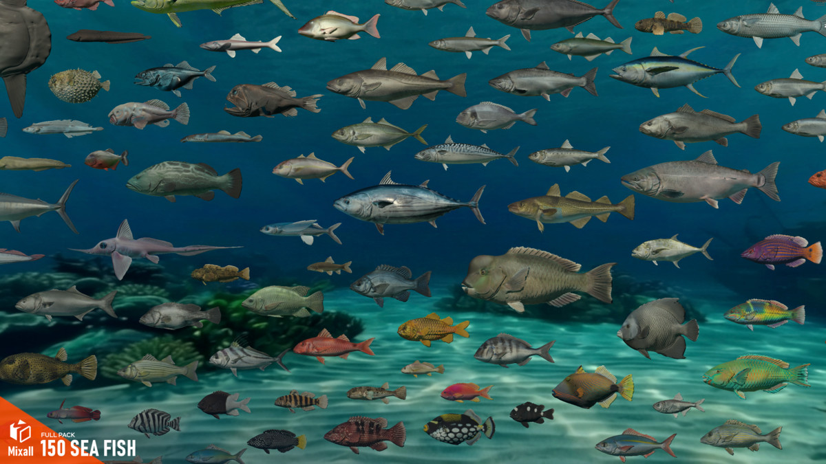 150 Sea fish - Full pack